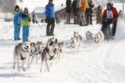 Lenk 2012 SM
